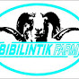 Bibilintik farm