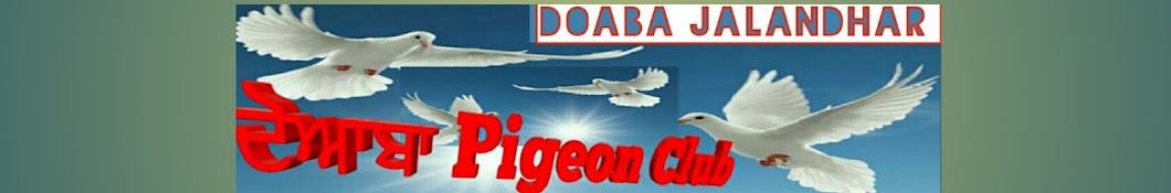 DOABA PIGEON CLUB