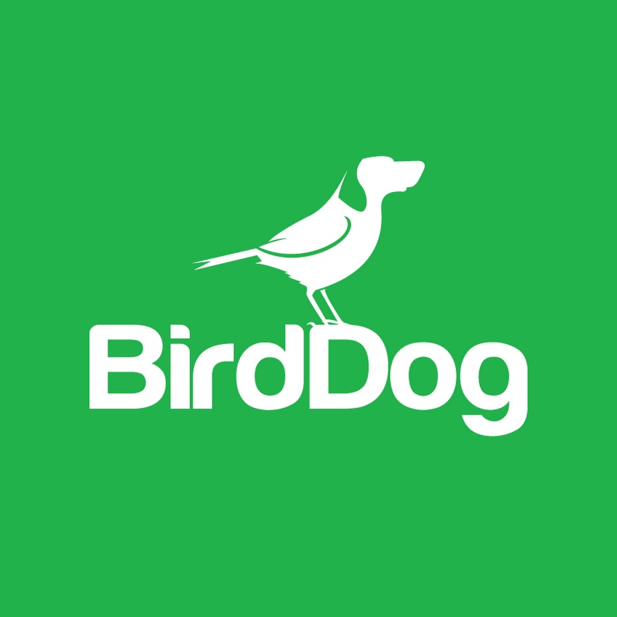 BirdDog - YouTube