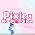 Pixie X Marshmallow