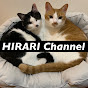 HIRARI Channel