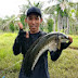 Candu.Mancing