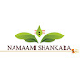 Namaami Shankara