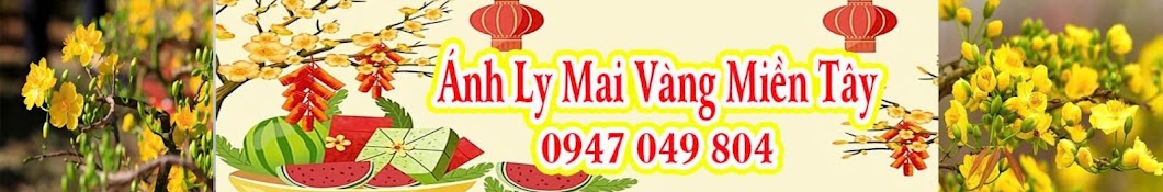 ánh ly mai vàng miền tây 