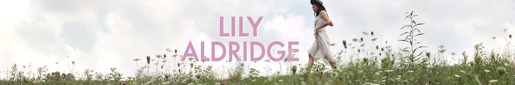 Lily Aldridge Banner