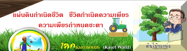 Kasetworld โลกแห่งการเกษตร