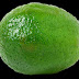 logo lime