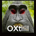 logo OXtilil