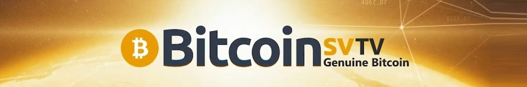 BSV Bitcoin Banner