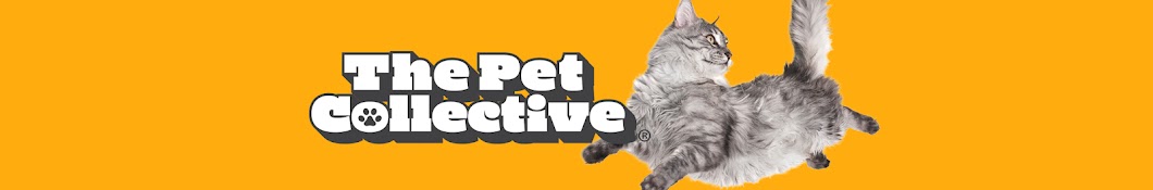 The Pet Collective Banner