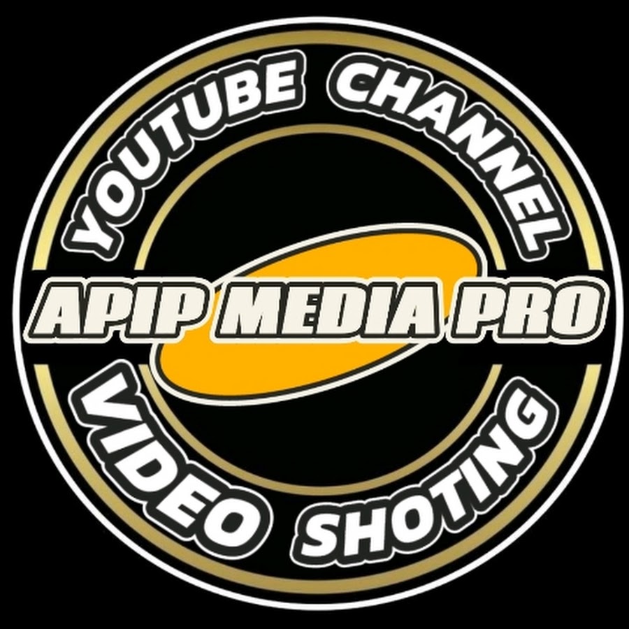 APIP MEDIA PRO