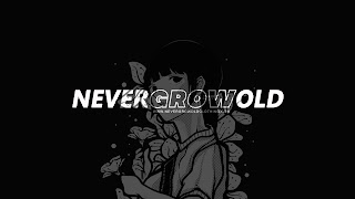 «Never Grow Old» youtube banner