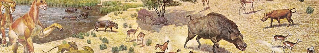 Animals of Prehistory