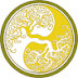 Intuici Traditional Chinese Medicine Geneva