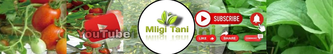 Mligi Tani