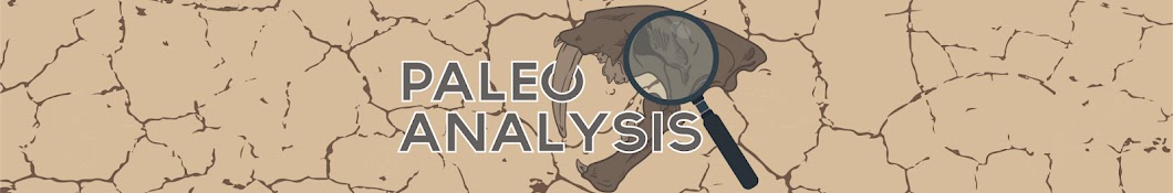 Paleo Analysis Banner