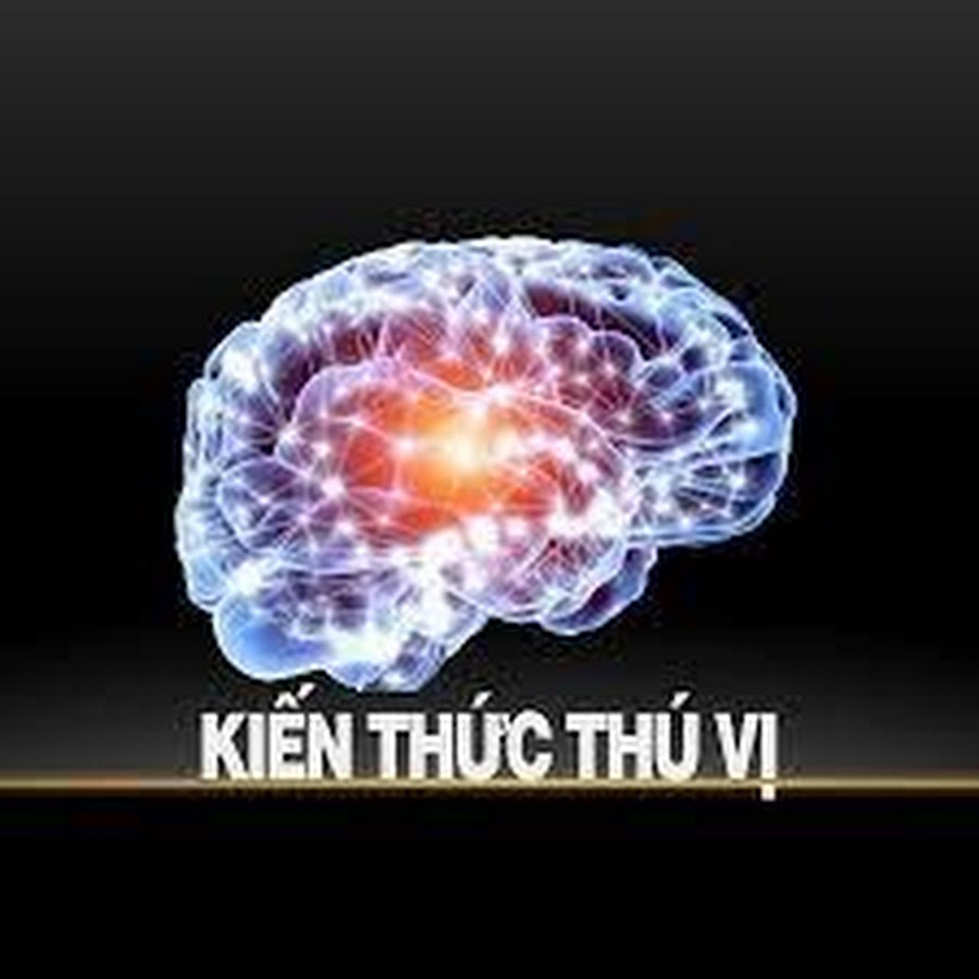 KIẾN THỨC THÚ VỊ Official @KienThucThuVi