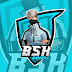 logo BSK GAMERS