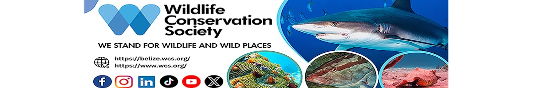 Wildlife Conservation Society- Belize