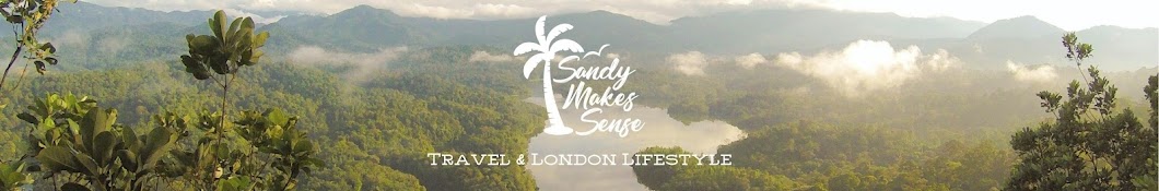 SandyMakesSense Banner