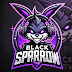 BlackSparrow21