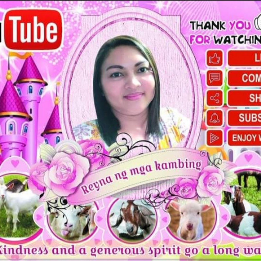 REYNA NG MGA KAMBING YouTube