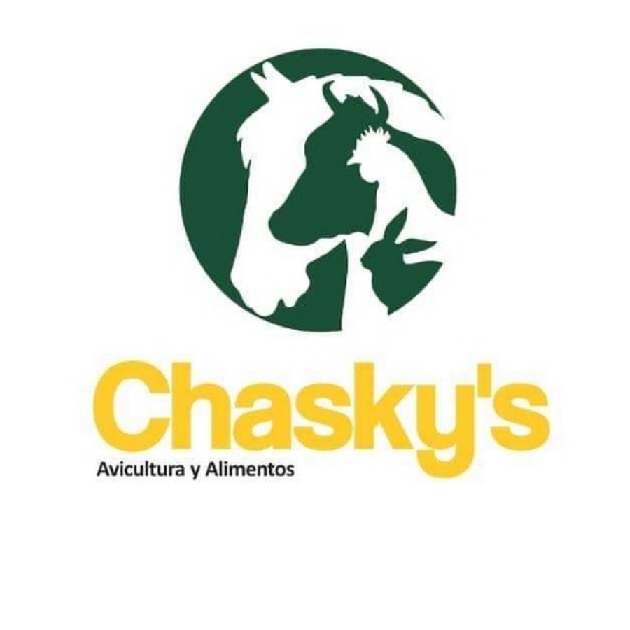Chaskys - YouTube Chaskys