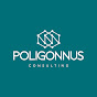 Poligonnus Consulting