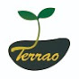 TERRAO farming from KOREA