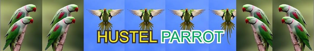 HUSTEL PARROT