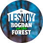 Bogdan in the forest