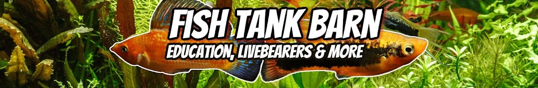 Fish Tank Barn