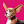 petcollective avatar