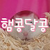 햄콩달콩