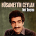 Hüsamettin Ceylan - Topic