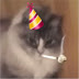 logo kitteh