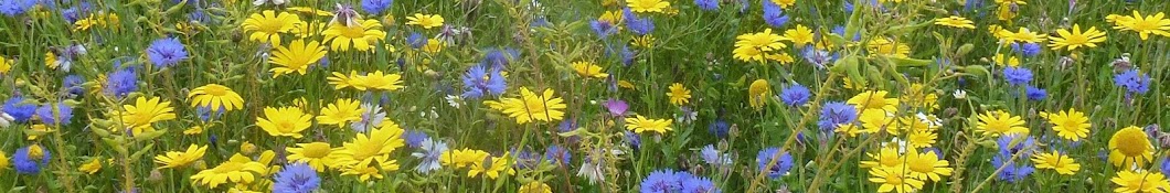 Inverness Botany Group