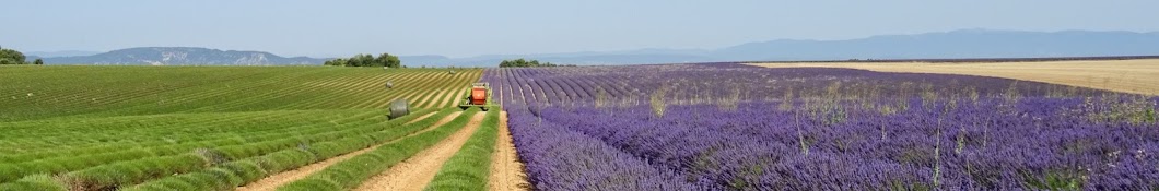 Chambre d'agriculture des Alpes de Haute-Provence