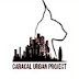 Caracal Urban Project