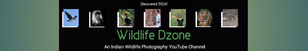 wildlifedzone