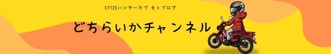 どちらいかチャンネル