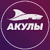 logo Акулы Wildberries