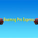 BeamNG Pro Express