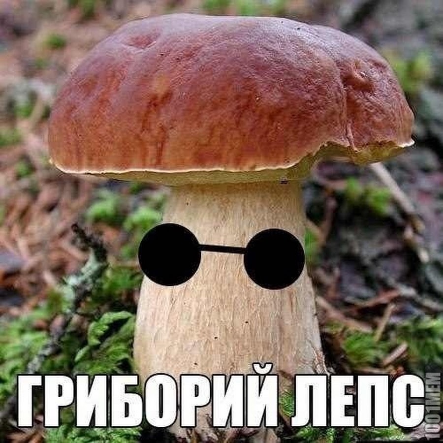 грибы смешные картинки
