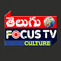 Telugu Focus TV Culture