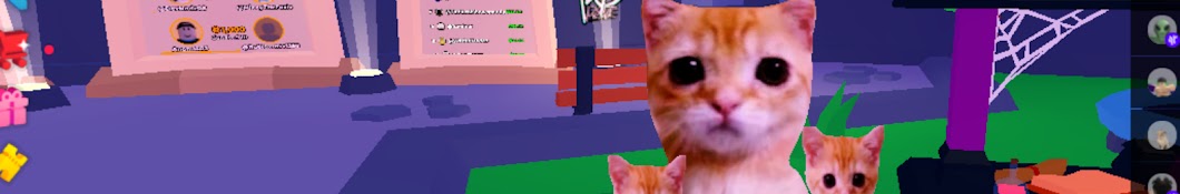 PoorCatsLive