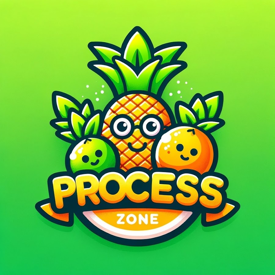 Process Zone 