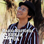 Mario Silitonga - Topic