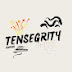 Tensegrityle2nd