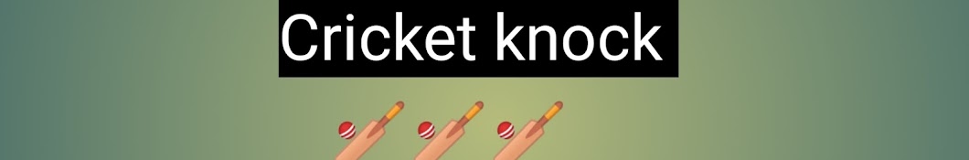 Cricket knock 's Banner